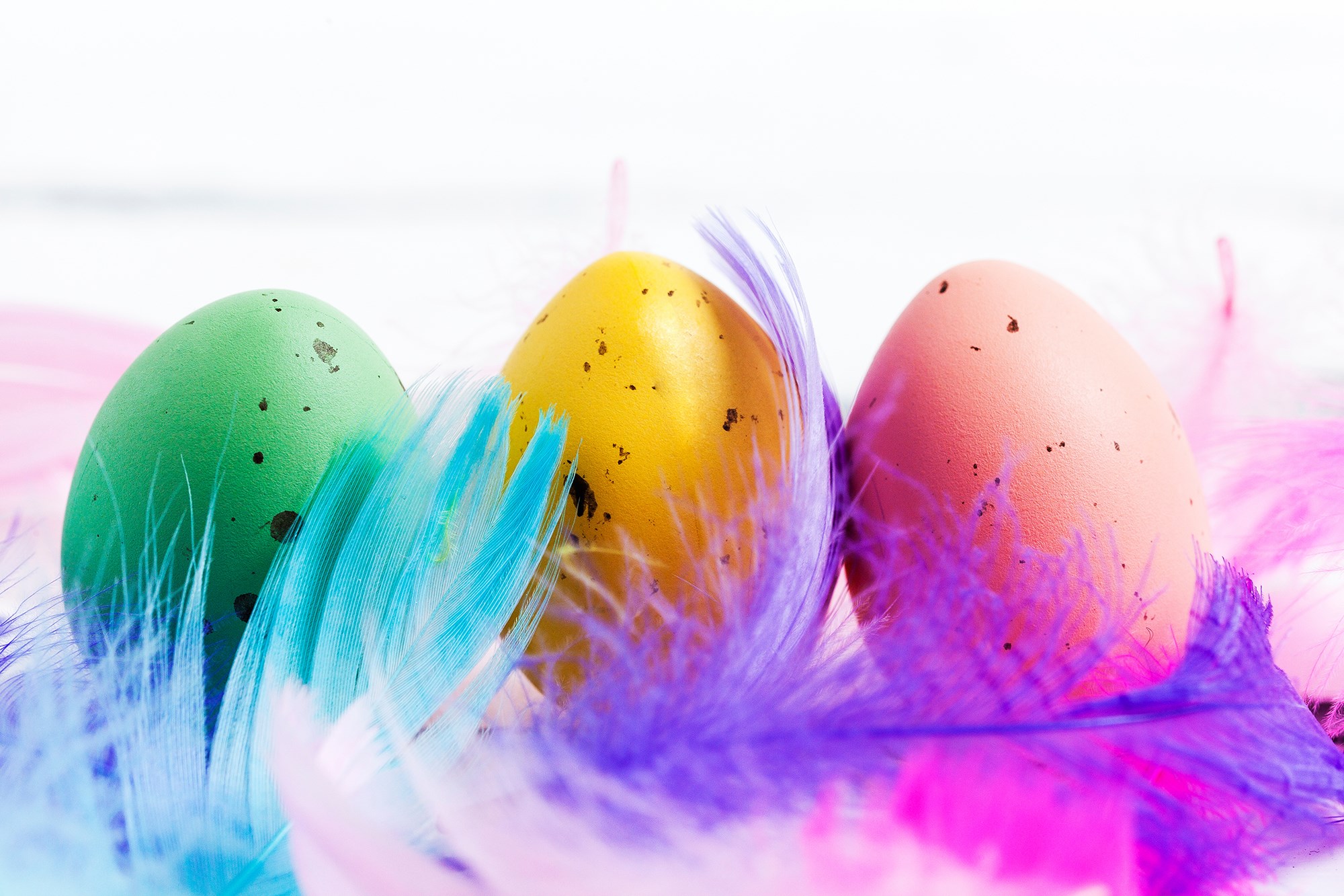 Tre ägg i grönt, gult och rosa med färgade fjädrar runtom. 