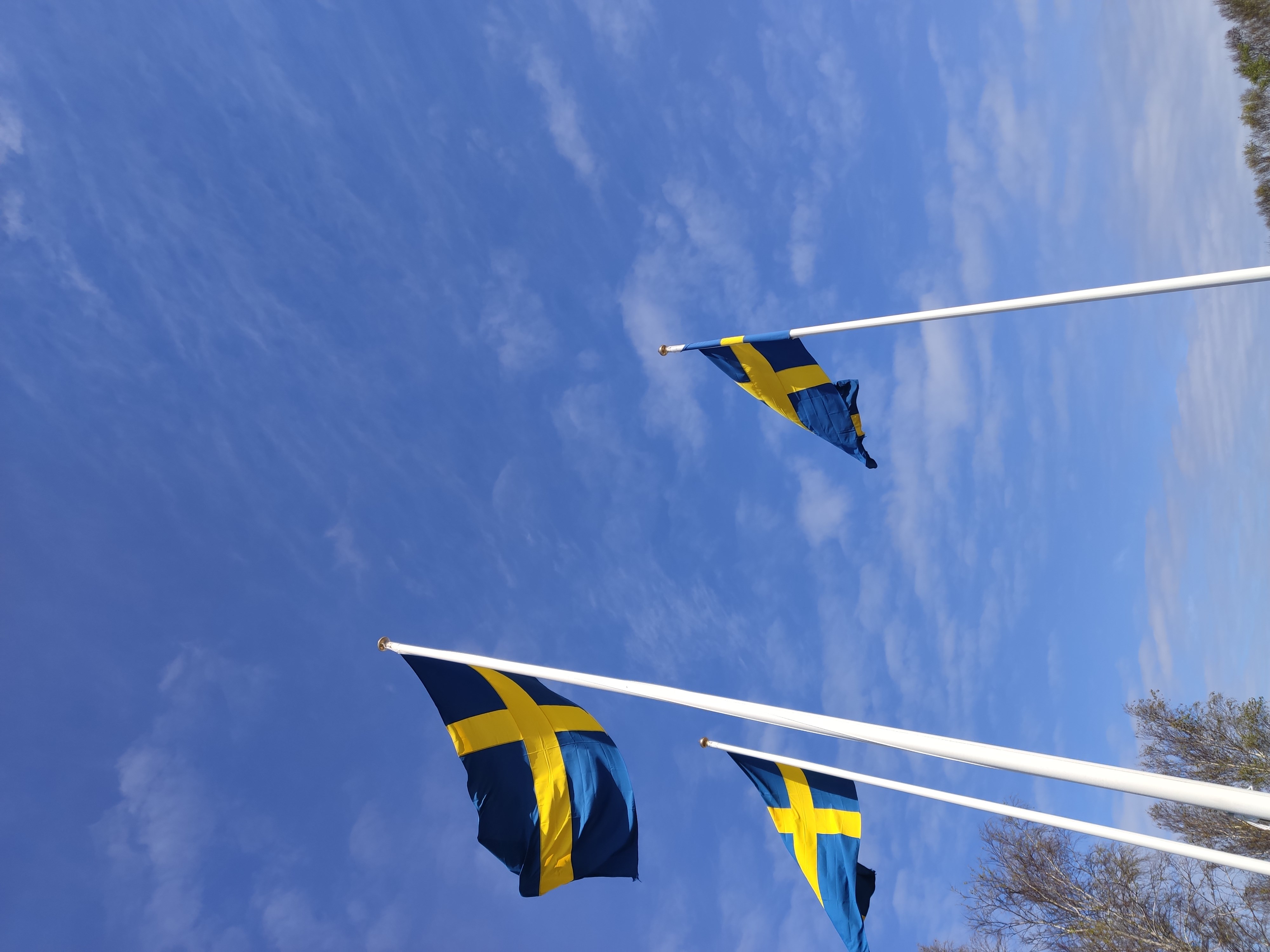 Tre Sverigeflaggor mot en blå himmel